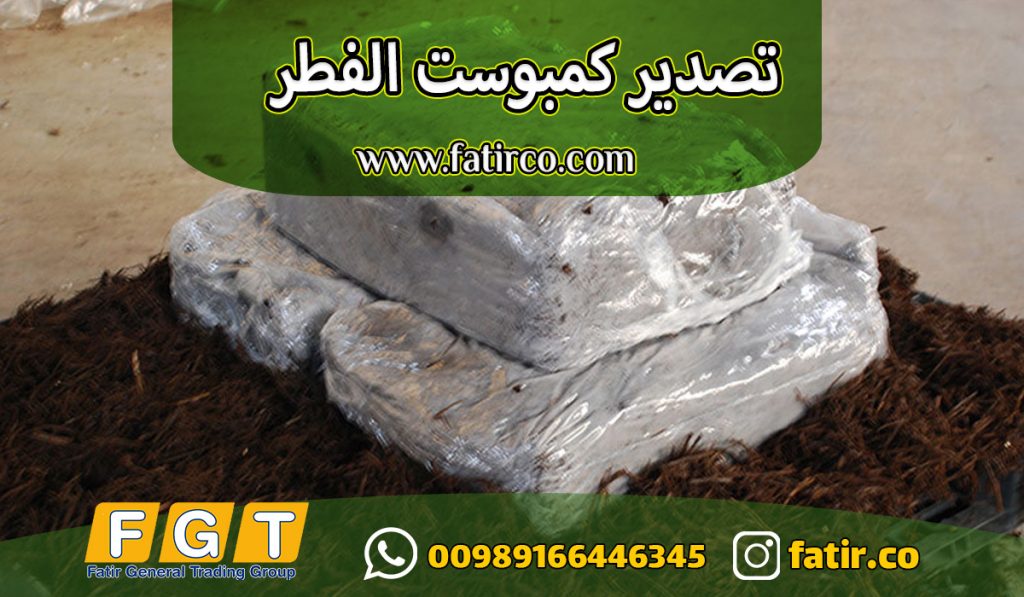 كمبوست الفطر الأبيض