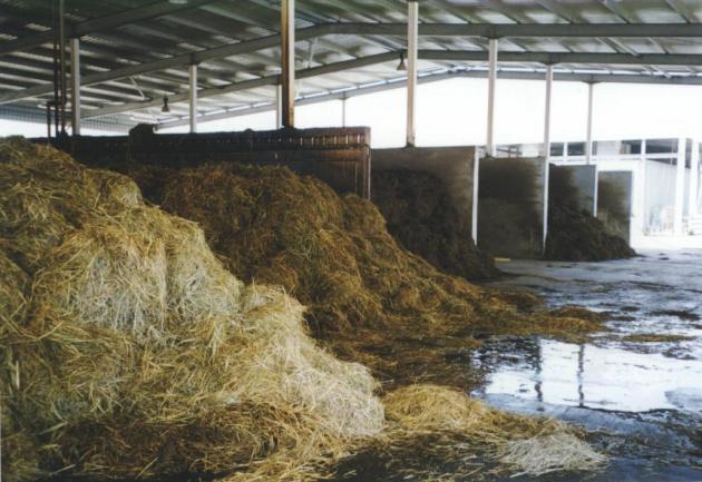 كمبوست الفطر