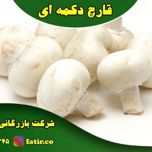 قارچ دکمه ای