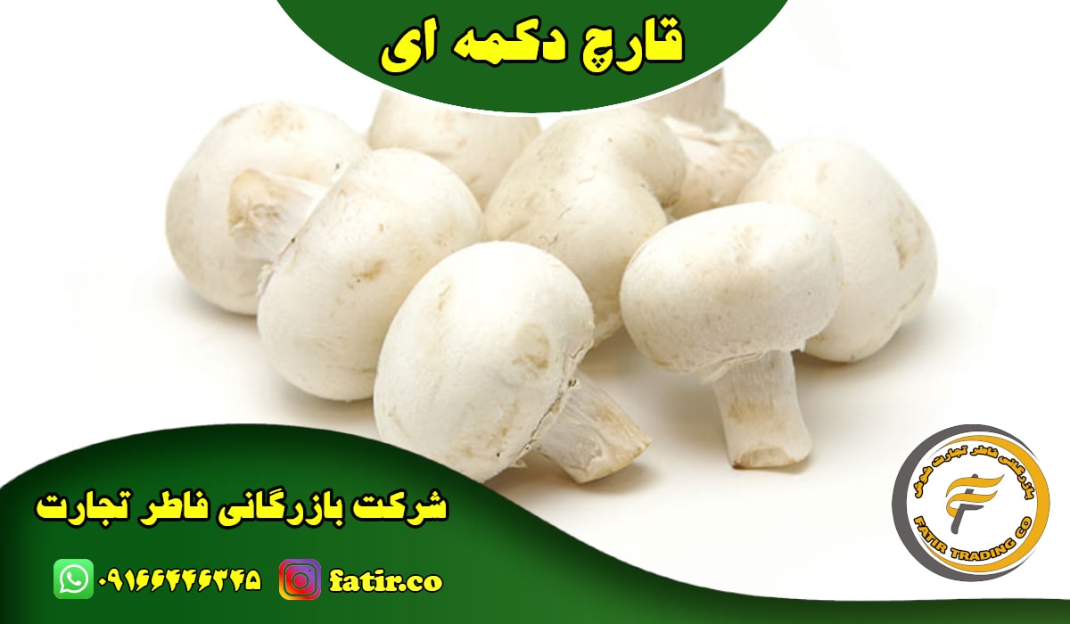 قارچ دکمه ای