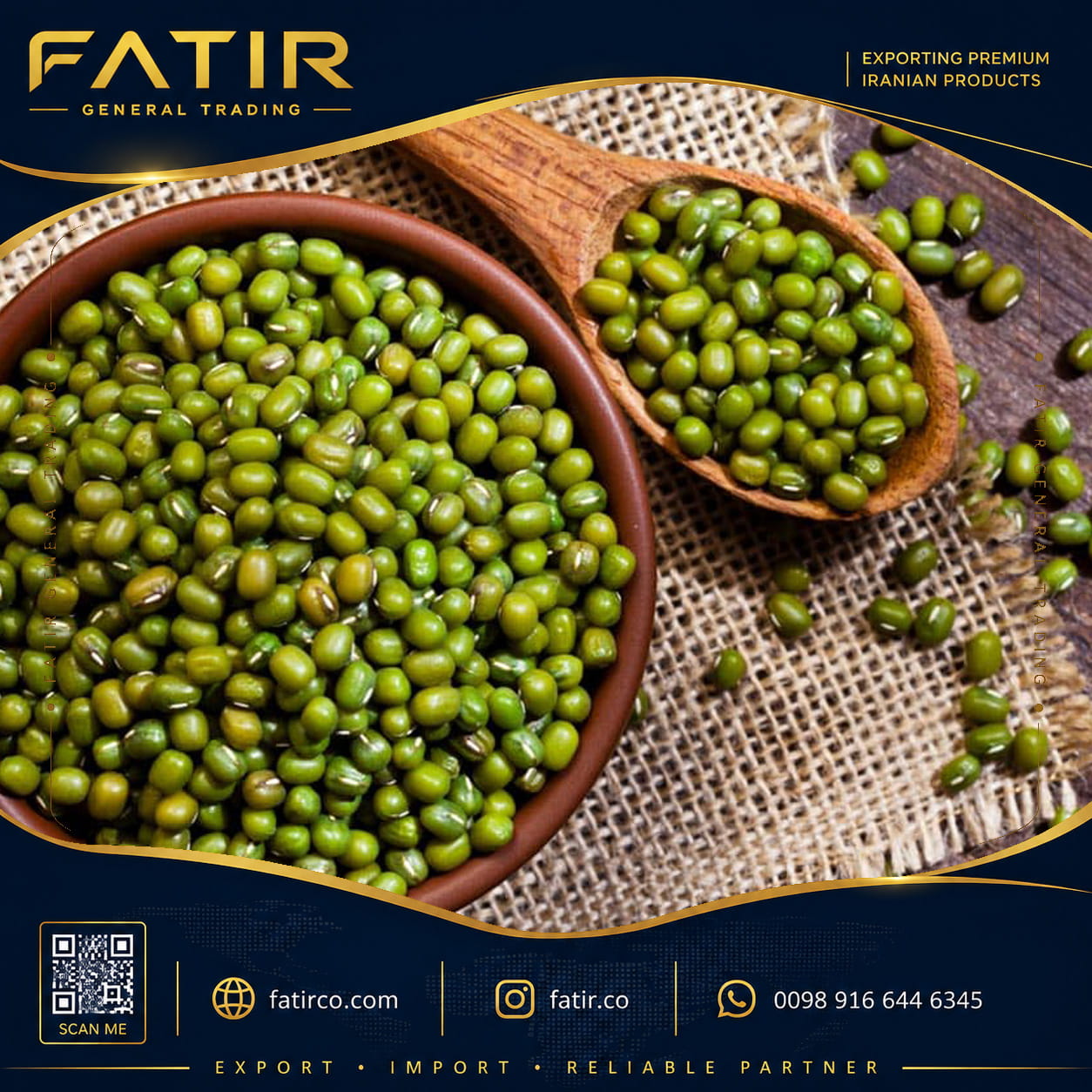 ماش سبز | شرکت فاطر تجارت