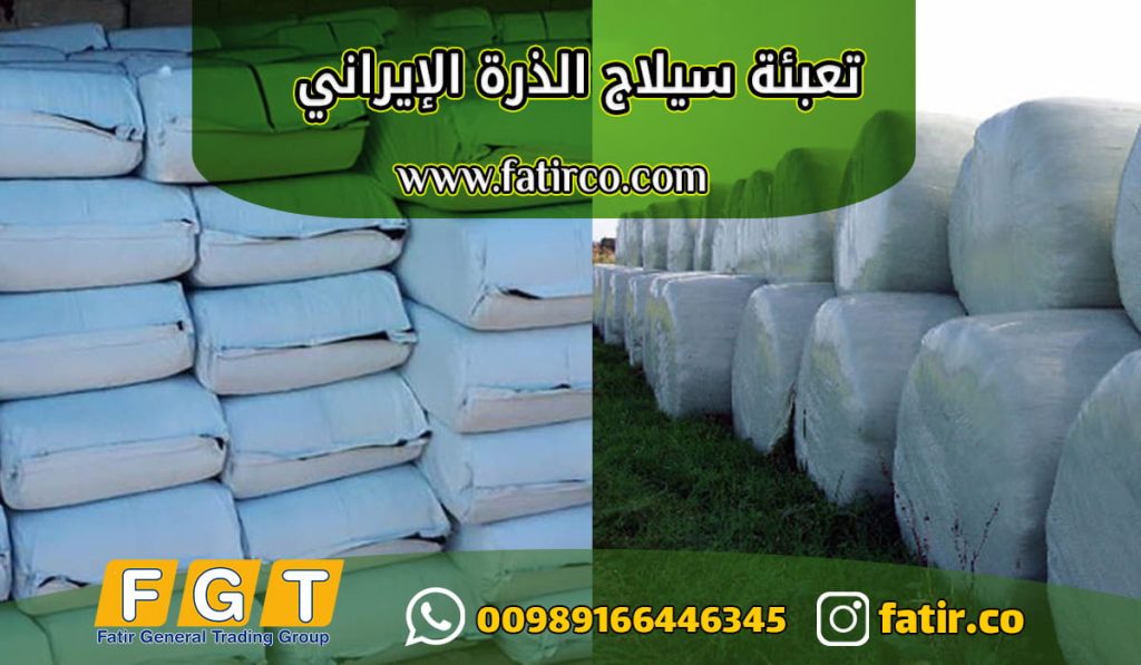 تعبئة سيلاج الذرة الايراني