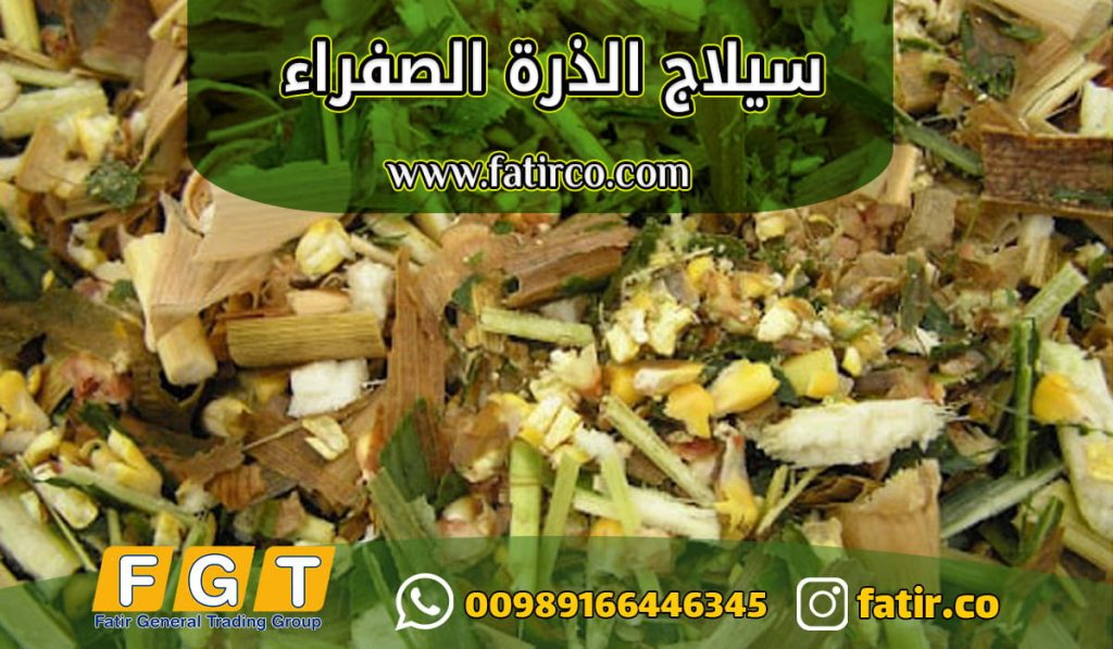 علف سيلاج الذرة | شركة فاطر للتجارة العامة