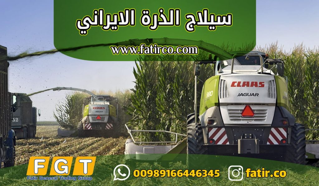 سيلاج الذرة الايراني
