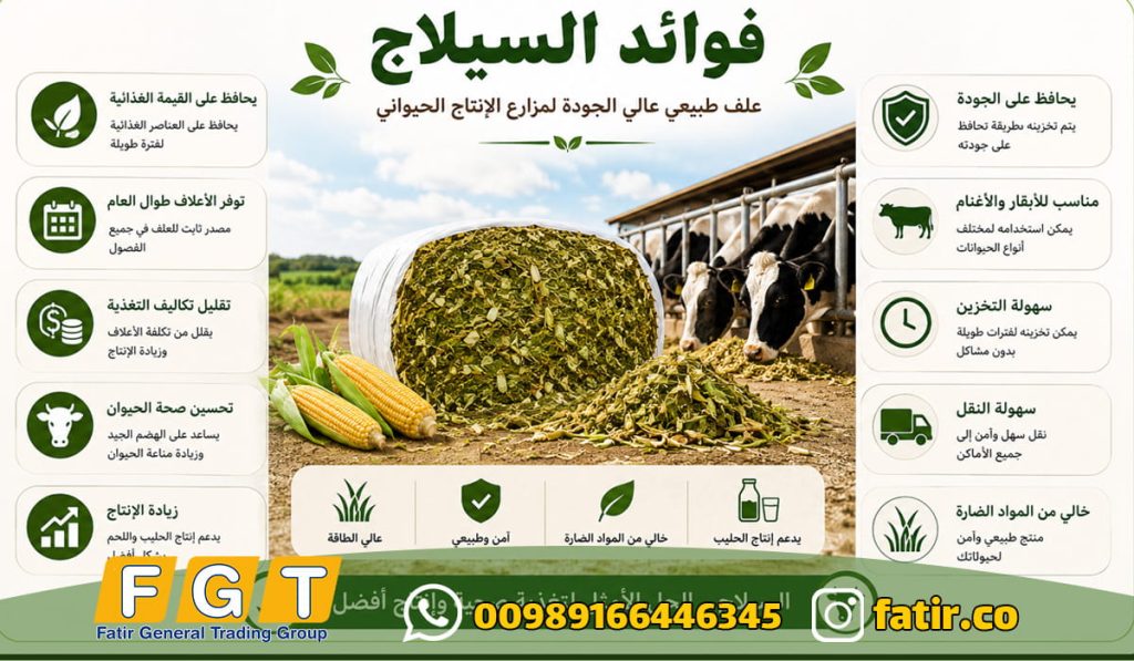 ما هى فوائد السيلاج | شركة فاطر للتجارة العامة