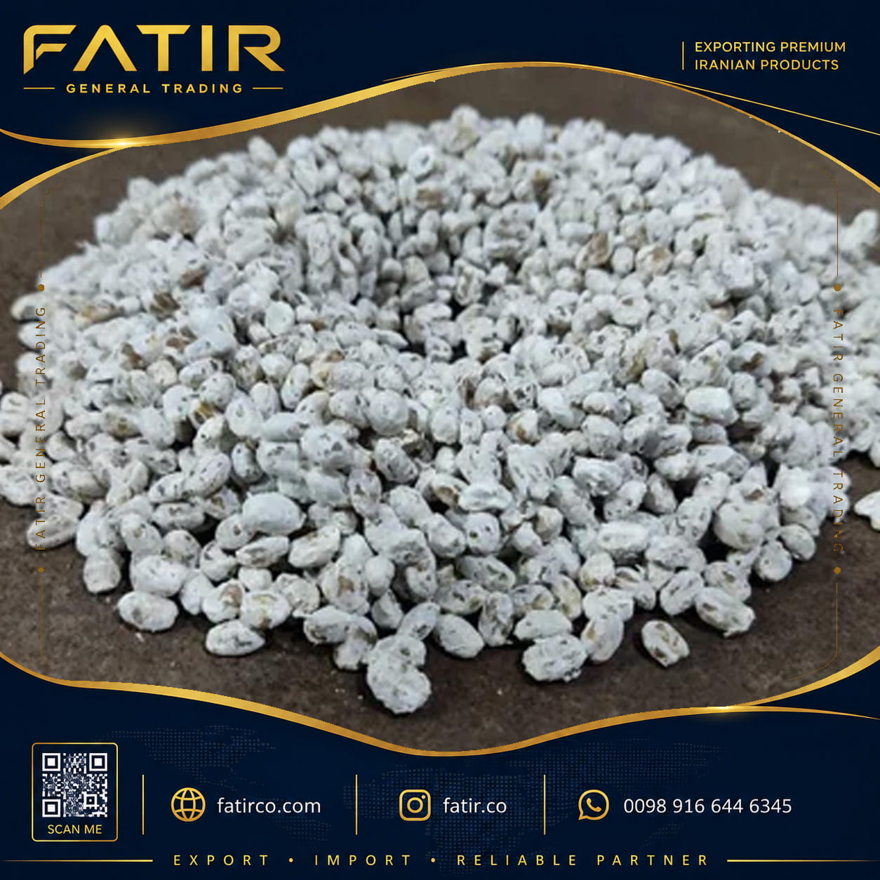 Mushroom spawn | Fatir General Trading