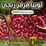 فروش لوبیا قرمز زنجان | گروه بازرگانی فاطر تجارت