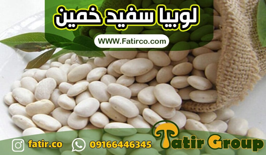 قیمت عمده لوبیا سفید خمین | شرکت فاطر تجارت قیمت عمده لوبیا سفید خمین | شرکت فاطر تجارت