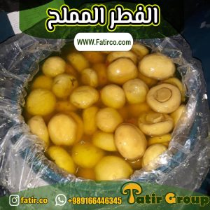 الفطر المملح | مجموعة فاطر التجارية