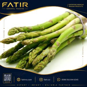 الهليون الأخضر | شركة فاطر للتجارة العامة