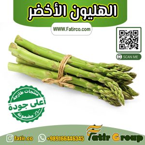 الهليون الأخضر | شركة فاطر للتجارة العامة