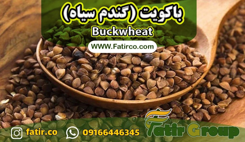 فروشنده عمده گندم سیاه (باکویت ) | شرکت فاطر تجارت فروشنده عمده گندم سیاه (باکویت ) | شرکت فاطر تجارت