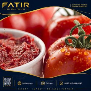 Iranian Aseptic Tomato paste | Fatir Group