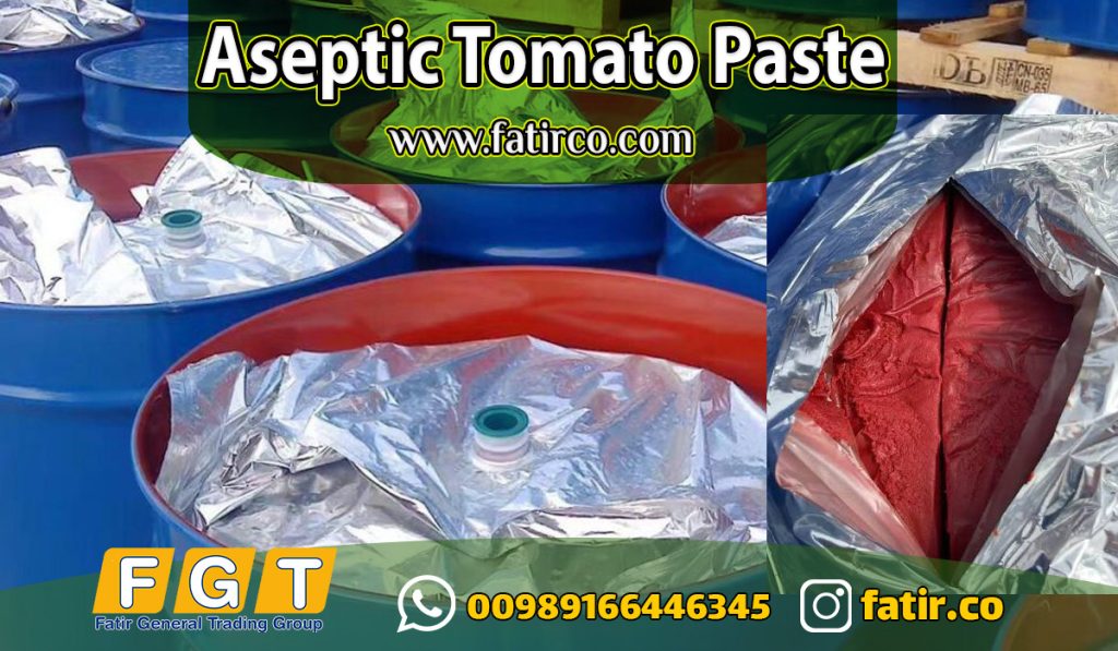 Tomato Paste Supplier from Iran