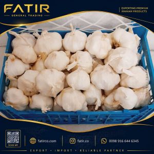 الثوم الإيراني | شركة فاطر للتجارة العامة