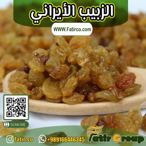 الزبيب الأيراني | شركة فاطر للتجارة