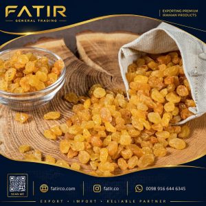 Iranian Golden Raisins | Premium Export Quality | Fatir Trading