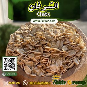 الشوفان (بالإنجليزية: Oats) | شركة فاطر للتجارة