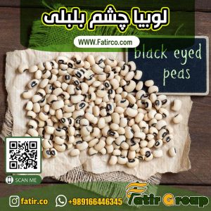 لوبیا چشم بلبلی | شرکت فاطر تجارت