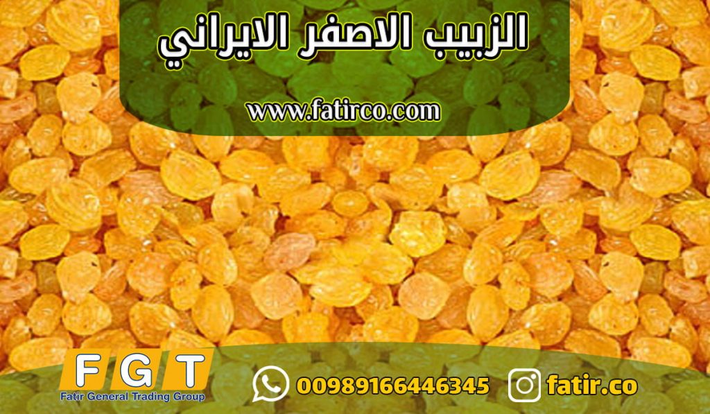 الزبيب الذهبي الايراني