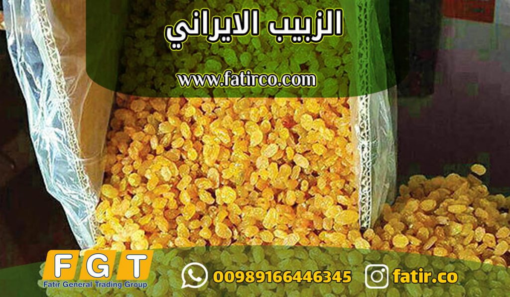 تعبئة الزبيب الذهبي الايراني