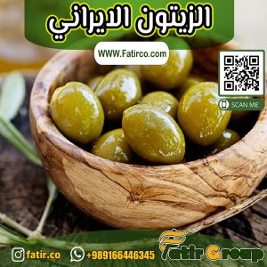 الزيتون الايراني | شركة فاطر للتجارة العامة