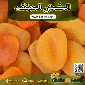 المشمش المجفف | شركة فاطر للتجارة
