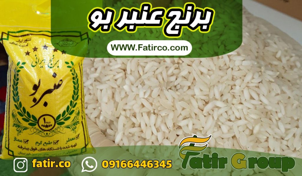 فروشنده عمده برنج عنبربو | فاطر تجارت فروشنده عمده برنج عنبربو | فاطر تجارت