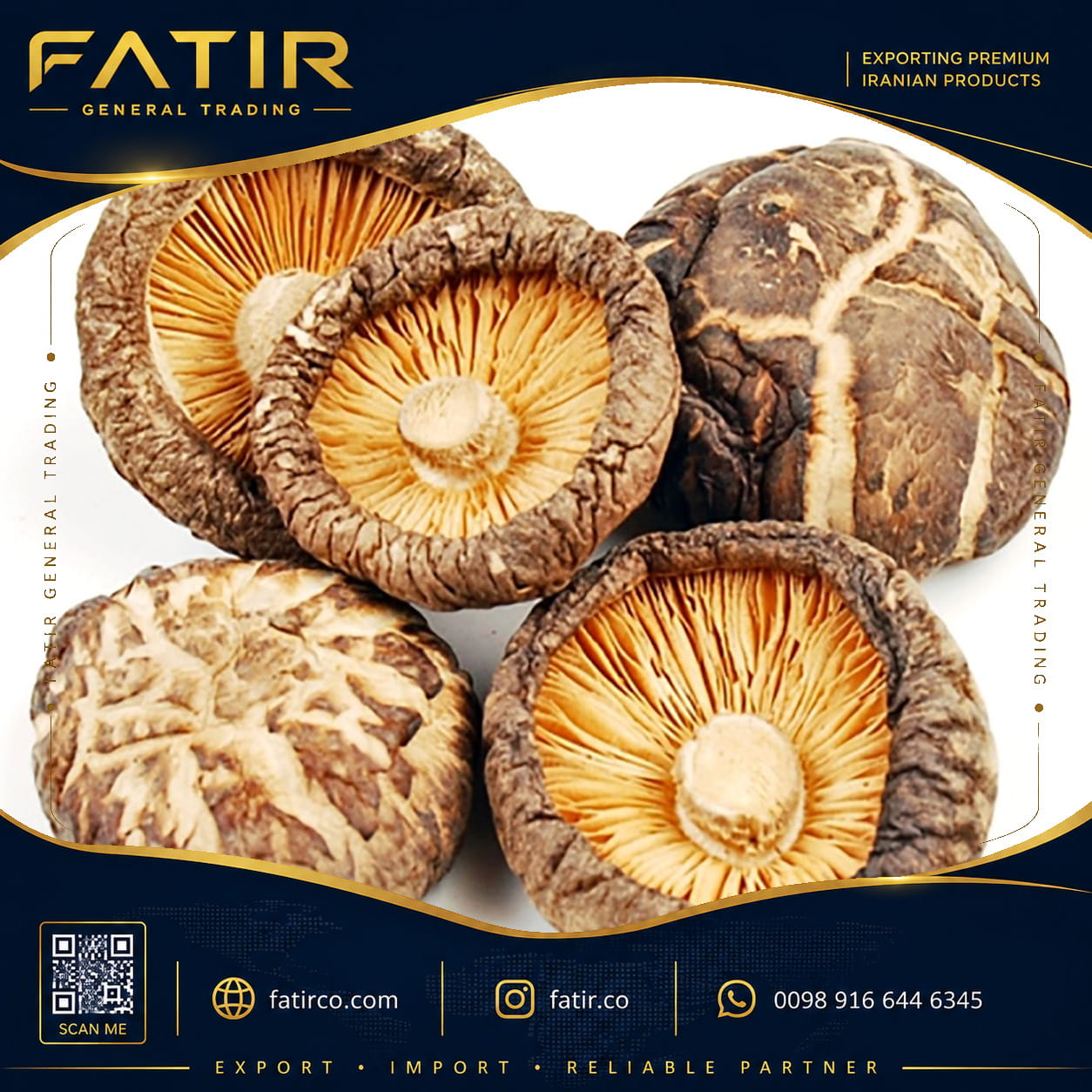 الفطر الشيتاكي (Shiitake mushroom) | مجموعة فاطر التجارية