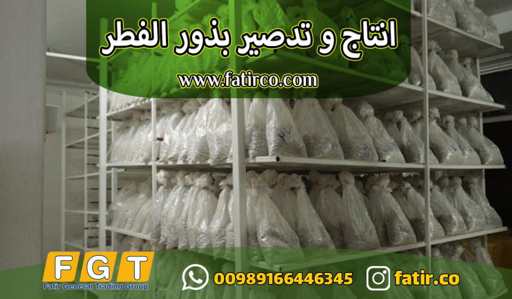 مورد بذور الفطر