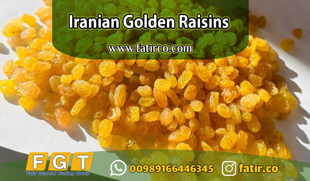 Golden Raisin Export from Iran Golden Raisin Export from Iran