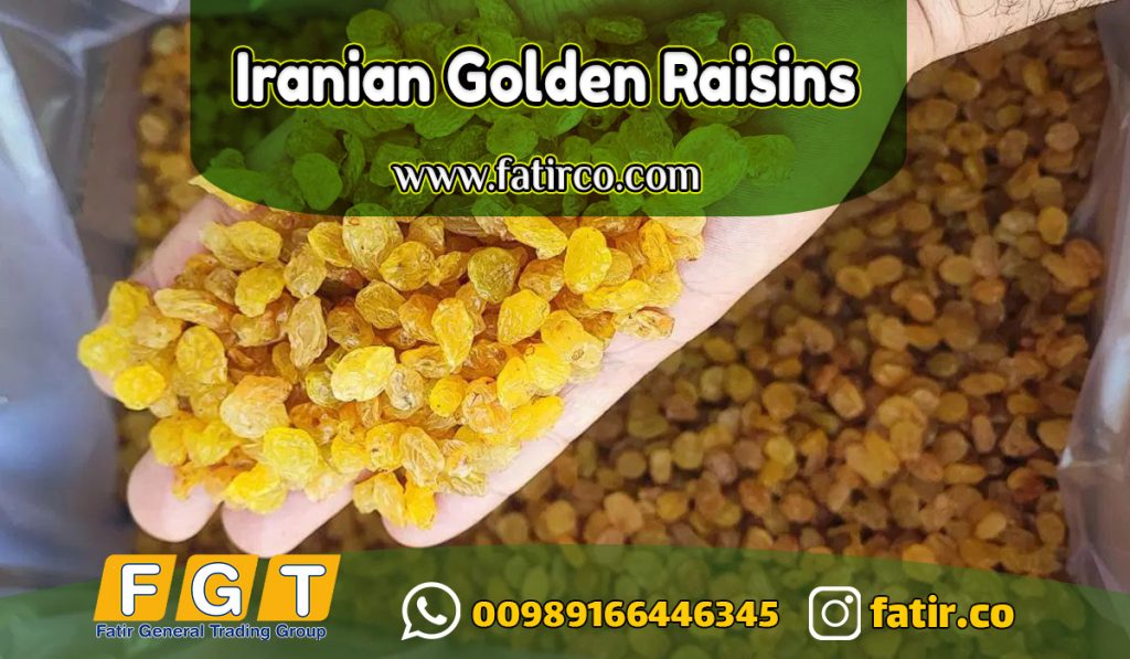 Export-quality Golden Raisins from Iran