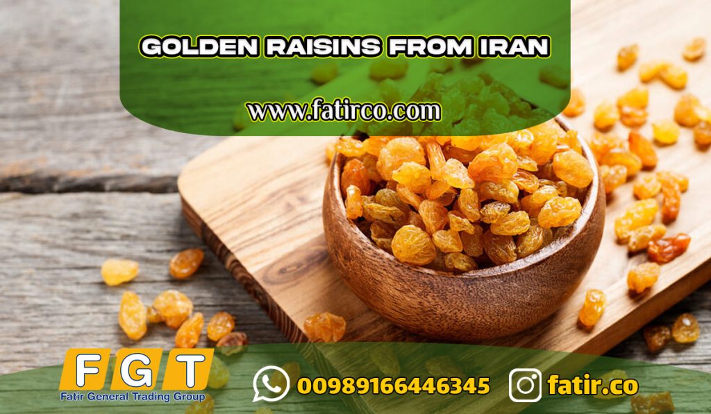 Golden Raisin Exporter from iran