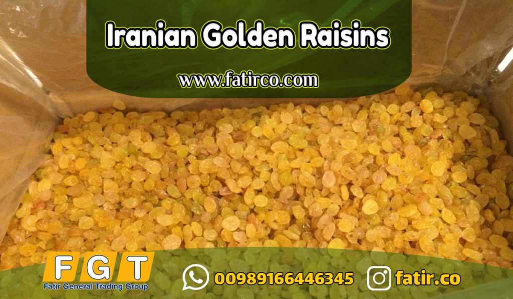 Export packaging of Iranian Golden Raisins
