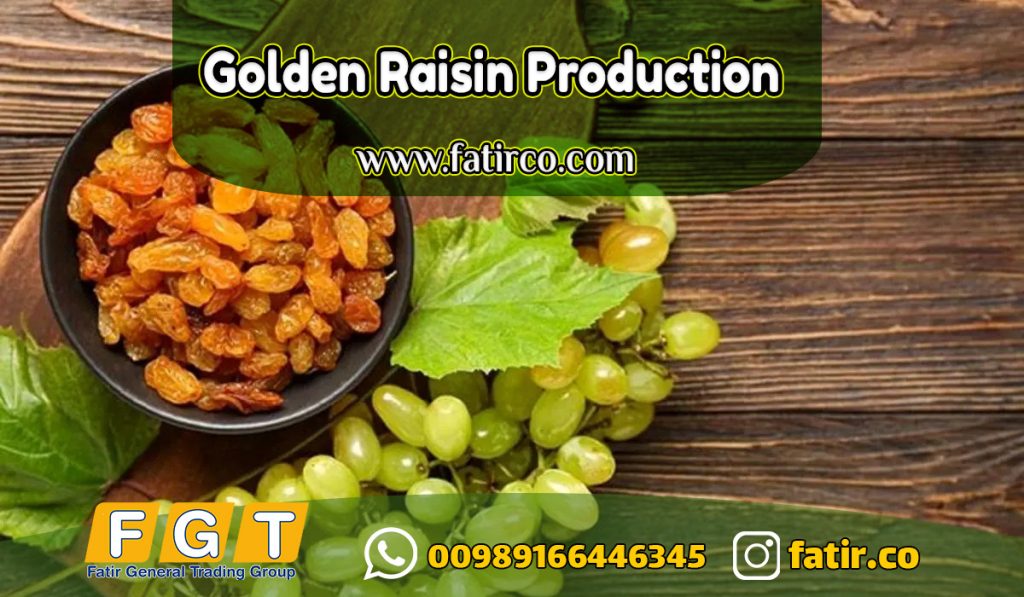 Golden Raisins from Iran