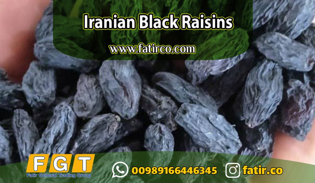 iranian Export quality black raisins