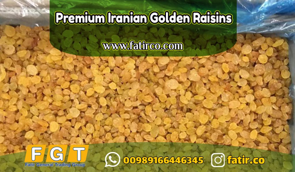 premium iranian golden raisins