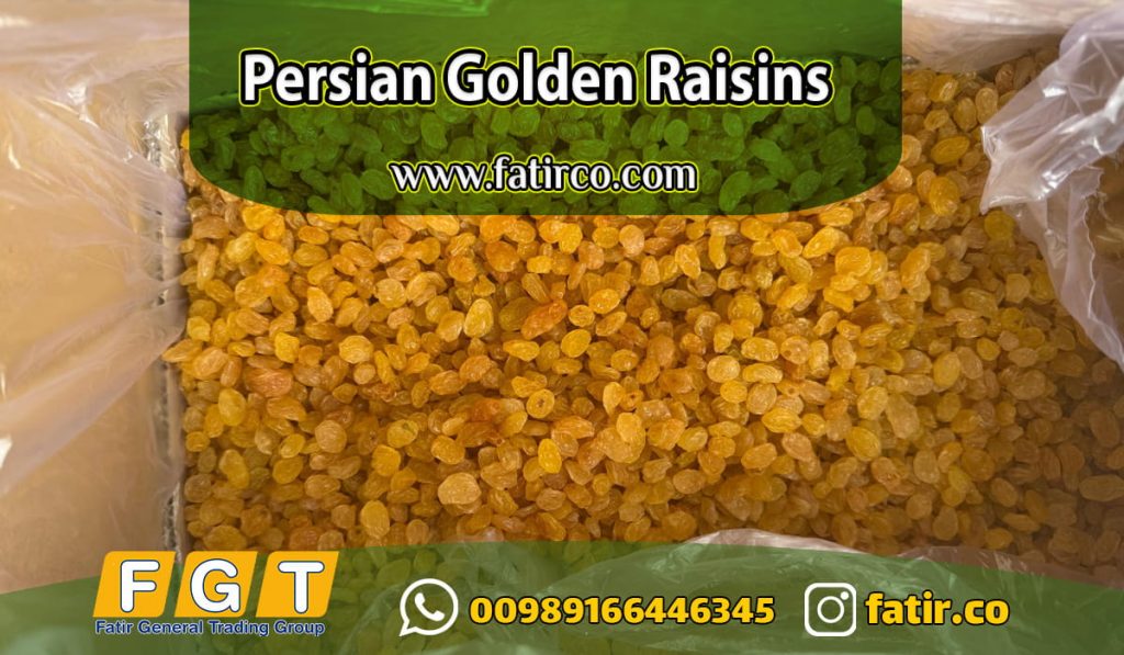 Golden Raisin Wholesale Supplier