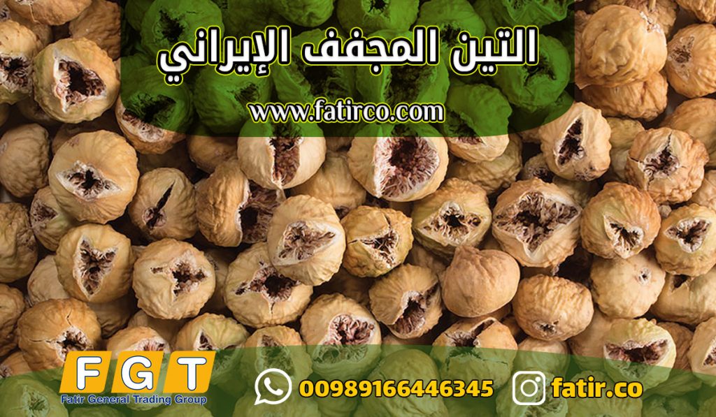 التين المجفف الإيراني الفاخر للتصدير | شركة فاطر التين المجفف الإيراني الفاخر للتصدير | شركة فاطر