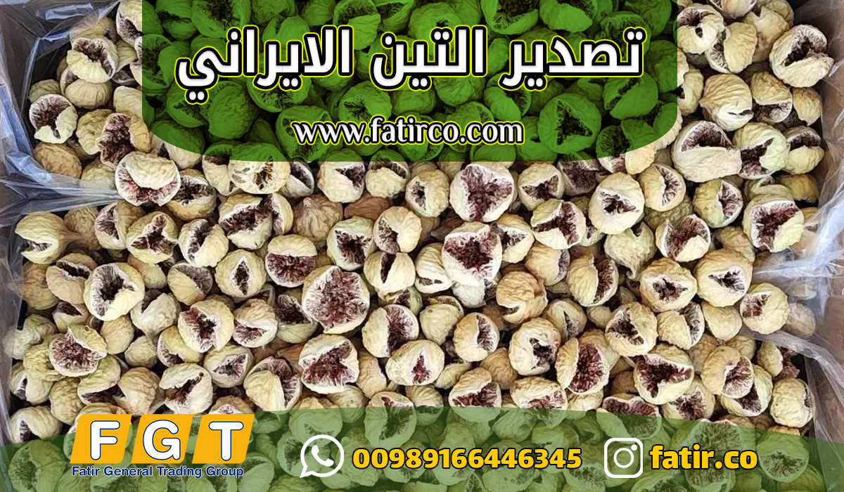 التين المجفف الإيراني - الصورة 4
