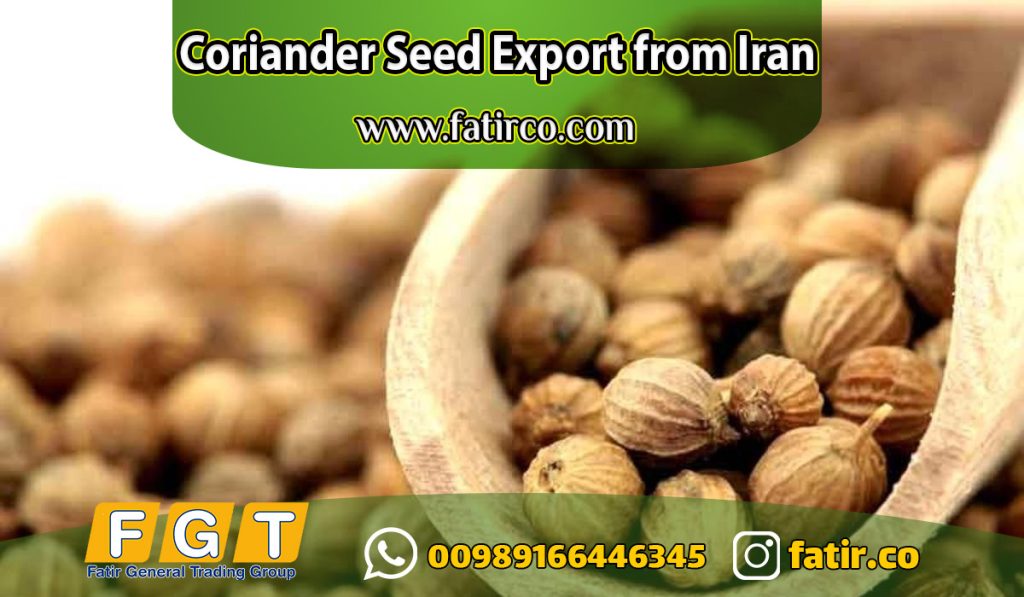 Coriander Seed Export from Iran