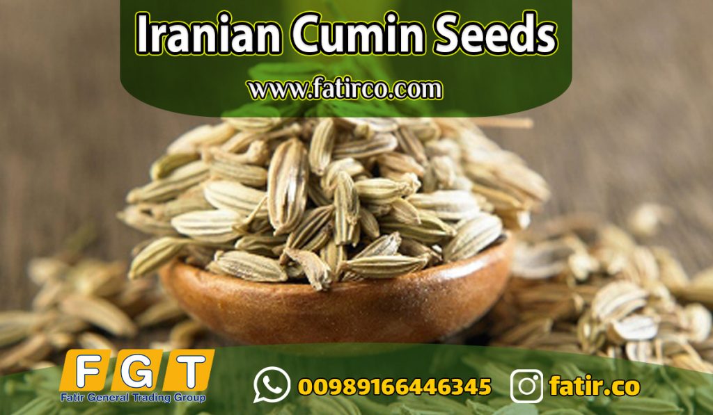 iranian cumin seeds