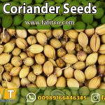 Coriander Seed Export from Iran