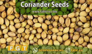 Coriander Seed Export from Iran