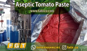 Import Iranian Aseptic Tomato Paste