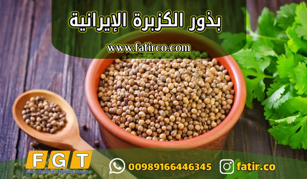 بذور الكزبرة الإيرانية بذور الكزبرة الإيرانية