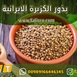 بذور الكزبرة الإيرانية