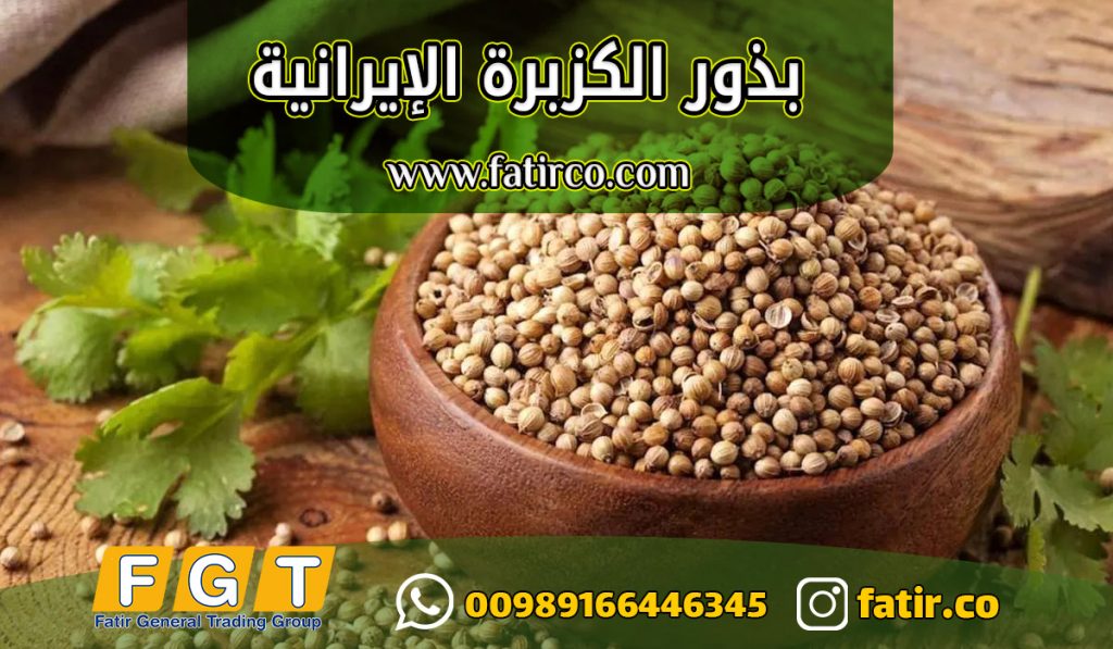 Iranian Coriander Seeds