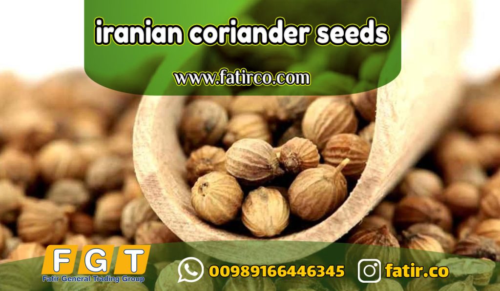 تصدير بذور الكزبرة الإيرانية | جودة عالية للتصدير إلى الأسواق العالمية تصدير بذور الكزبرة الإيرانية | جودة عالية للتصدير إلى الأسواق العالمية
