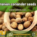 تصدير بذور الكزبرة الإيرانية | جودة عالية للتصدير إلى الأسواق العالمية